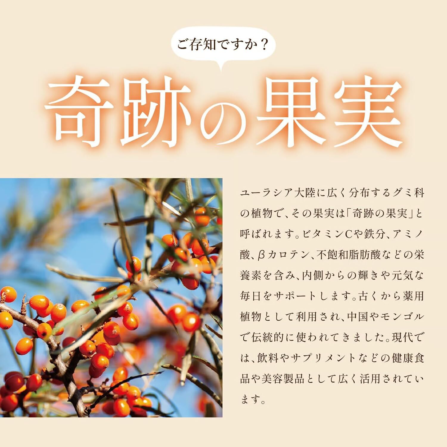 【新入荷】【新アイテム入荷】内側からキレイに整える「サジー酢」、取り扱いスタートしました！